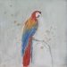 Ann Shrager NEAC -  The blue Parrot